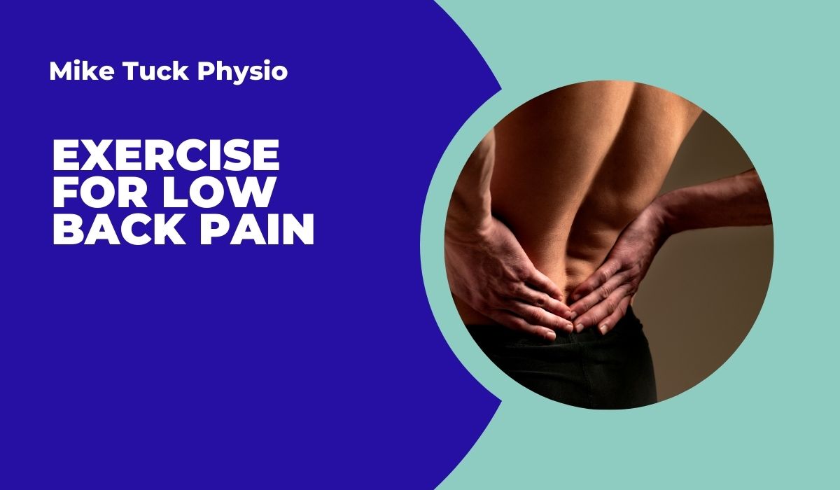 exercise-for-low-back-pain